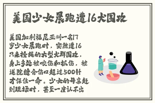 打扑克的乐趣作文